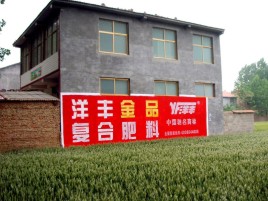 瓮安如何让墙体广告展现最大化效果