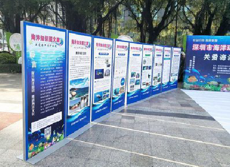 瓮安KT板的种类和知识。